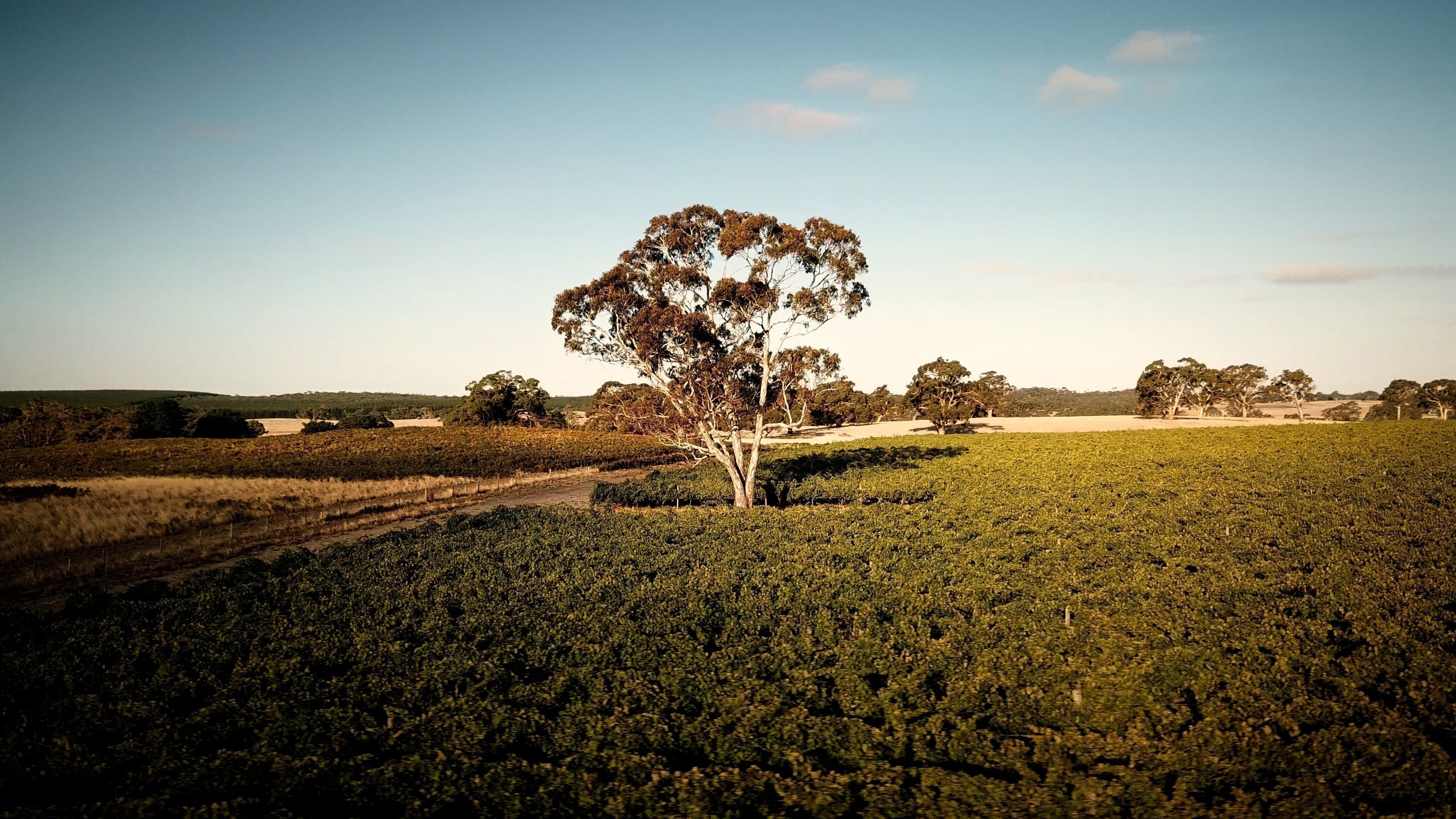 Exploring Mount Gambier: The Story Behind Our Two-Blocks Range