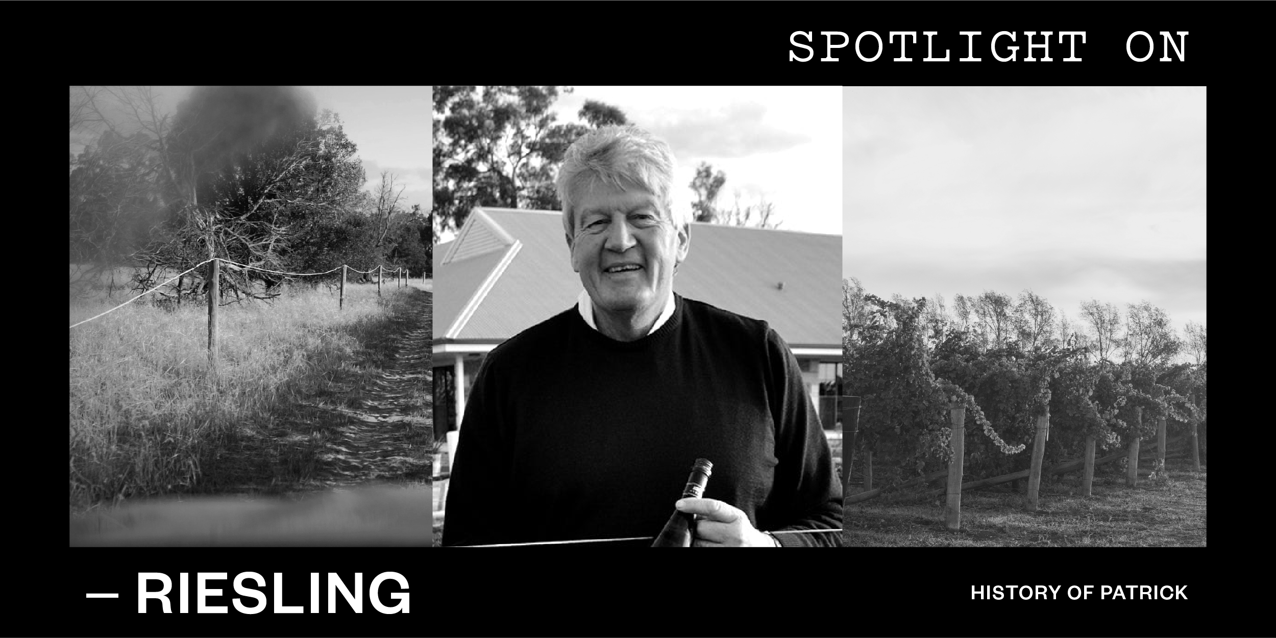 Part 2: Pat Tocaciu's love of Riesling