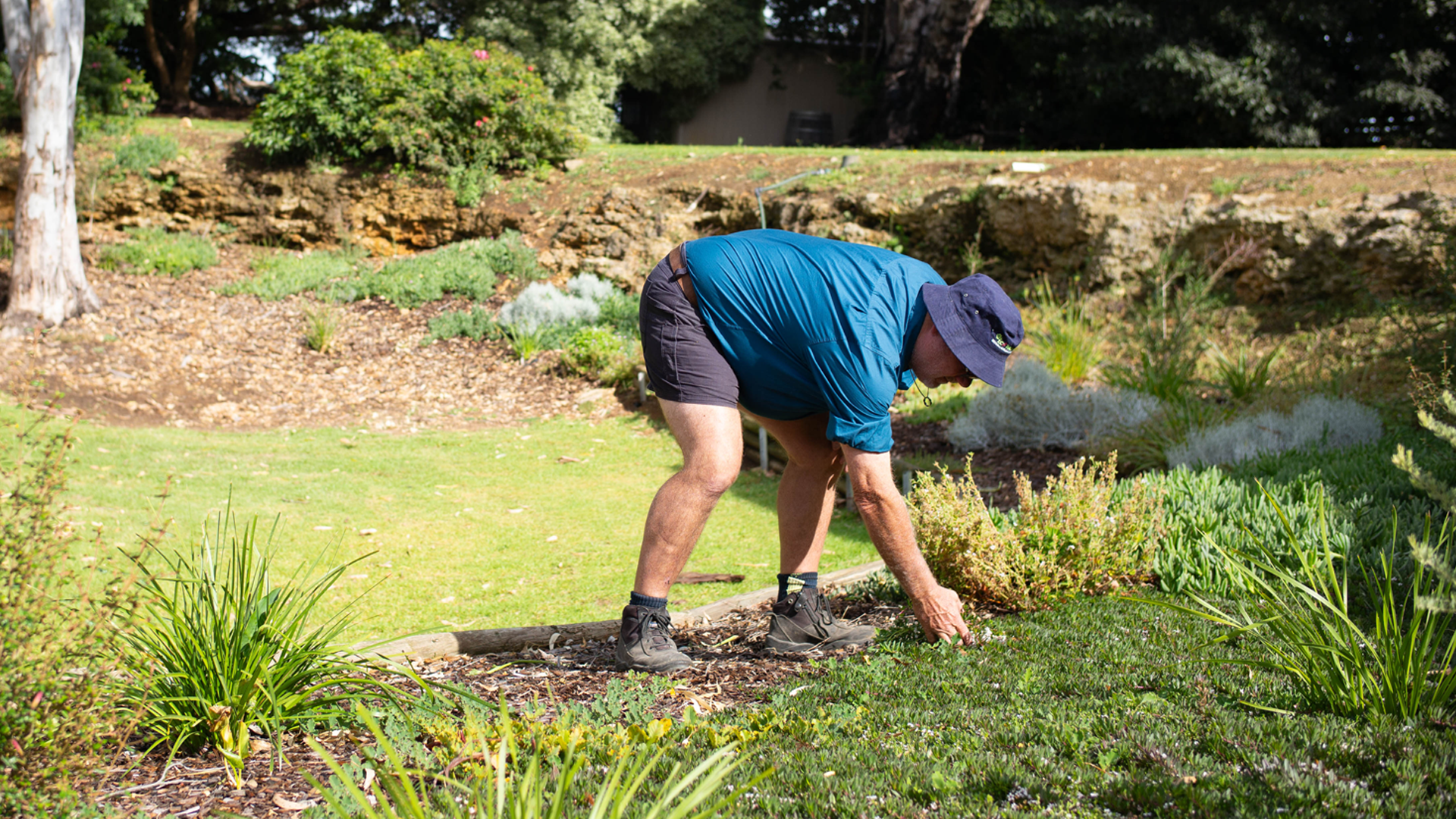Achieving Accreditation with Sustainable Winegrowing Australia
